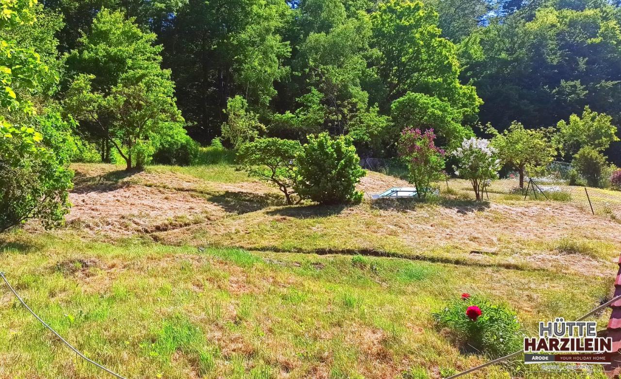 Arode Huette Harzilein - Romantic Tiny House On The Edge Of The Forest Zorge Bagian luar foto